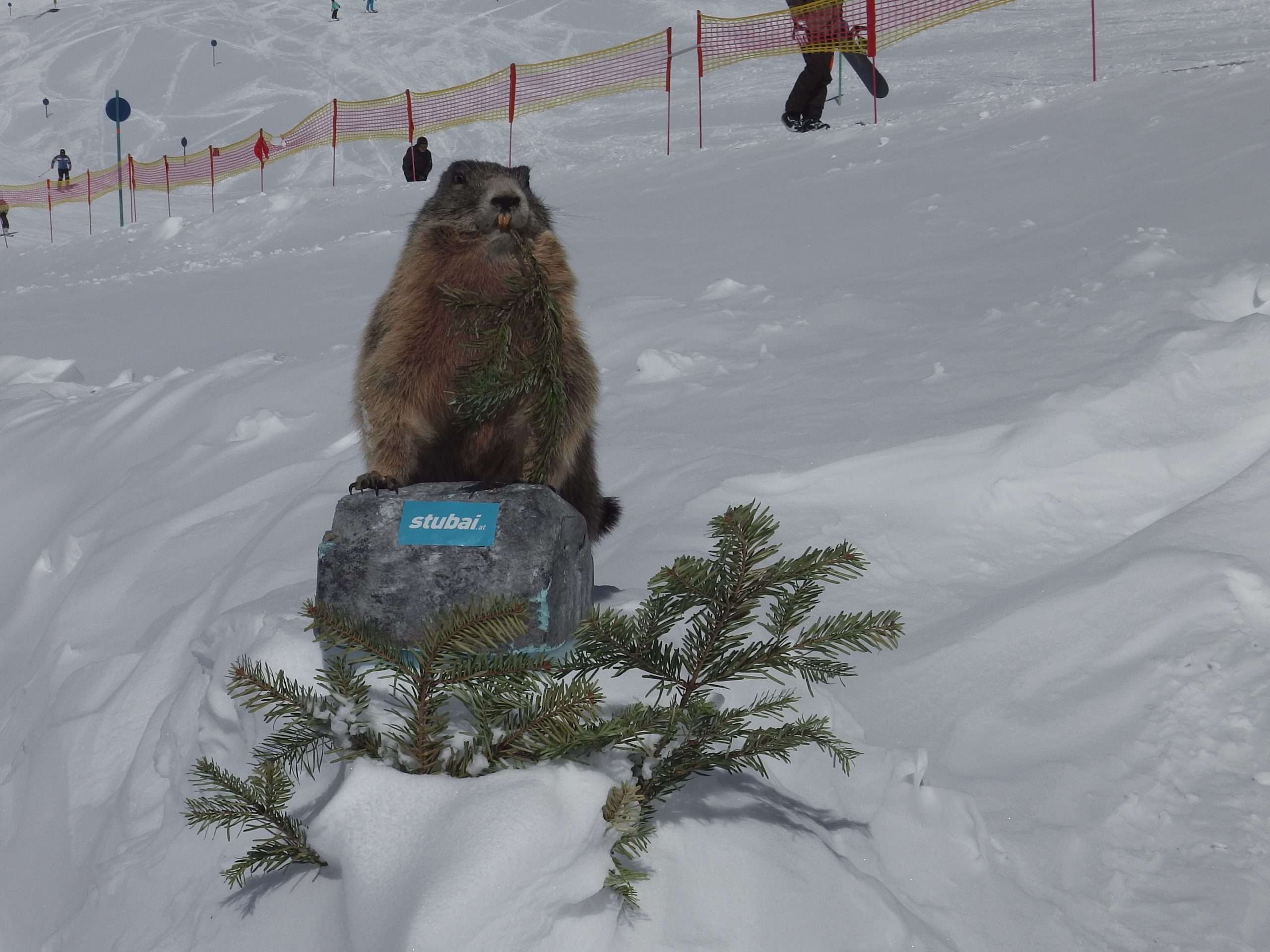 Stubai (5)